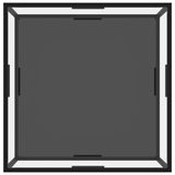 NNEVL Coffee Table Transparent and Black 80x80x35 cm Tempered Glass
