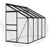 NNEVL Greenhouse Anthracite Aluminium 5.02 m³