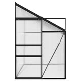 NNEVL Greenhouse Anthracite Aluminium 6.23 m³