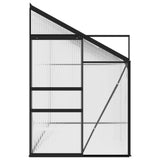 NNEVL Greenhouse Anthracite Aluminium 7.44 m³