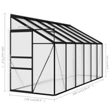NNEVL Greenhouse Anthracite Aluminium 7.44 m³