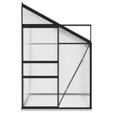 NNEVL Greenhouse Anthracite Aluminium 3.97 m³
