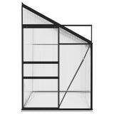 NNEVL Greenhouse Anthracite Aluminium 5.24 m³
