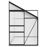 NNEVL Greenhouse Anthracite Aluminium 6.5 m³