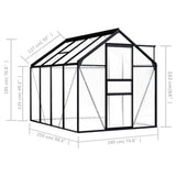 NNEVL Greenhouse Anthracite Aluminium 4.75 m²