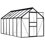 NNEVL Greenhouse Anthracite Aluminium 7.03 m²