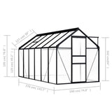 NNEVL Greenhouse Anthracite Aluminium 7.03 m²