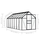 NNEVL Greenhouse Anthracite Aluminium 8.17 m²