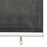 NNEVL Outdoor Roller Blind 60x140 cm Anthracite