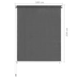 NNEVL Outdoor Roller Blind 160x230 cm Anthracite