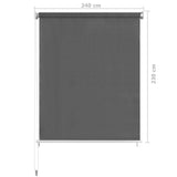 NNEVL Outdoor Roller Blind 240x230 cm Anthracite