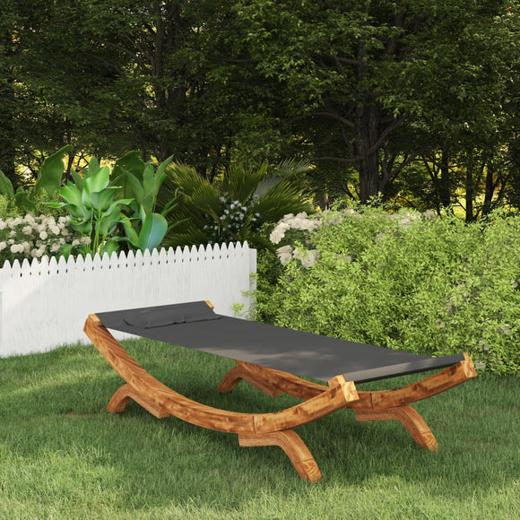 NNEVL Hammock 100x188.5x44 cm Solid Bent Wood Anthracite