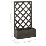 NNEVL Garden Trellis Planter Grey 50x25x90 cm Solid Firwood