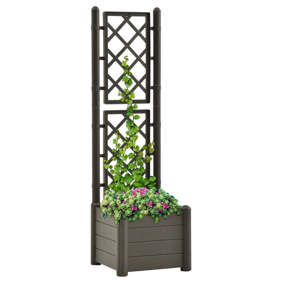 NNEVL Garden Planter with Trellis 43x43x142 cm PP Anthracite