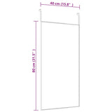 NNEVL Door Mirror Black 40x80 cm Glass and Aluminium