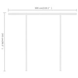 NNEVL Manual Retractable Awning with Posts 3x2.5 m Blue and White