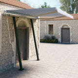 NNEVL Manual Retractable Awning with Posts 3.5x2.5 m Blue and White