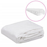 NNEVL Greenhouse Replacement Cover (36 m²) 3x12x2 m Transparent