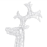 NNEVL Reindeer Christmas Decoration 90 LEDs 60x16x100 cm Acrylic