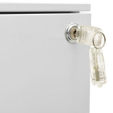 NNEVL Mobile File Cabinet Light Grey 39x45x60 cm Steel