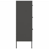 NNEVL Drawer Cabinet Anthracite 80x35x101.5 cm Steel