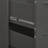 NNEVL Drawer Cabinet Anthracite 80x35x101.5 cm Steel