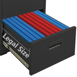 NNEVL Filing Cabinet Anthracite 46x62x102.5 cm Steel