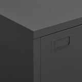 NNEVL Industrial Filing Cabinet Anthracite 75x40x115 cm Metal