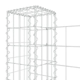 NNEVL U-shape Gabion Basket with 2 Posts Iron 140x20x100 cm