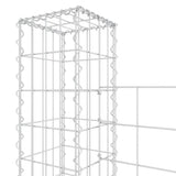 NNEVL U-shape Gabion Basket with 3 Posts Iron 260x20x150 cm