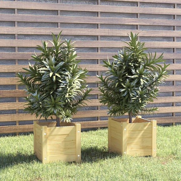 NNEVL Garden Planters 2 pcs 31x31x31 cm Solid Pinewood