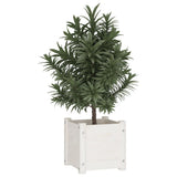 NNEVL Garden Planter White 31x31x31 cm Solid Pinewood
