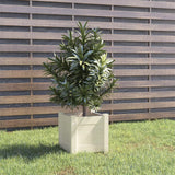 NNEVL Garden Planter White 31x31x31 cm Solid Pinewood