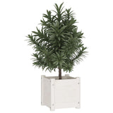 NNEVL Garden Planters 2 pcs White 31x31x31 cm Solid Pinewood