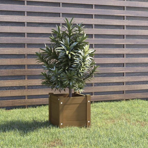 NNEVL Garden Planter Honey Brown 31x31x31 cm Solid Pinewood