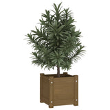 NNEVL Garden Planters 2 pcs Honey Brown 31x31x31 cm Solid Pinewood