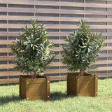 NNEVL Garden Planters 2 pcs Honey Brown 31x31x31 cm Solid Pinewood