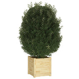 NNEVL Garden Planter 40x40x40 cm Solid Pinewood