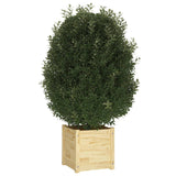 NNEVL Garden Planters 2 pcs 40x40x40 cm Solid Pinewood