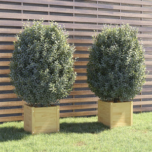 NNEVL Garden Planters 2 pcs 40x40x40 cm Solid Pinewood