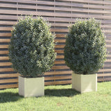 NNEVL Garden Planters 2 pcs White 40x40x40 cm Solid Pinewood
