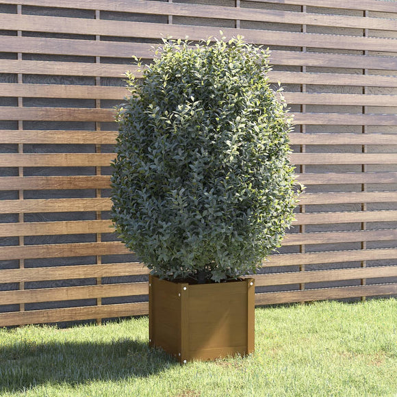 NNEVL Garden Planter Honey Brown 40x40x40 cm Solid Pinewood