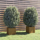 NNEVL Garden Planters 2 pcs Honey Brown 40x40x40 cm Solid Pinewood
