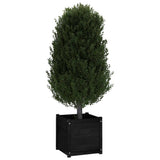 NNEVL Garden Planter Black 50x50x50 cm Solid Pinewood