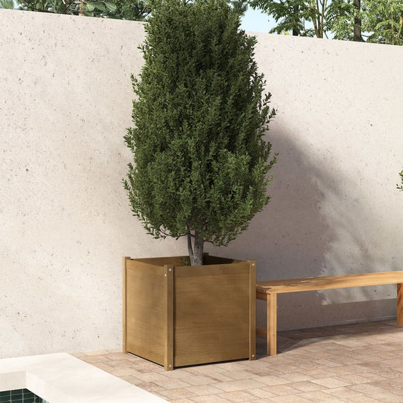 NNEVL Garden Planter Honey Brown 60x60x60 cm Solid Pinewood