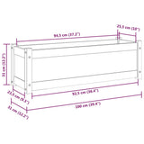 NNEVL Garden Planter 100x31x31 cm Solid Pinewood