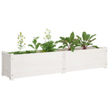 NNEVL Garden Raised Bed White 150x31x31 cm Solid Pinewood