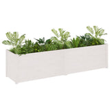 NNEVL Garden Planter White 200x50x50 cm Solid Pinewood