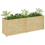NNEVL Garden Planter 200x50x70 cm Solid Pinewood