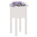 NNEVL Garden Planters 2 pcs White 31x31x70 cm Solid Pinewood